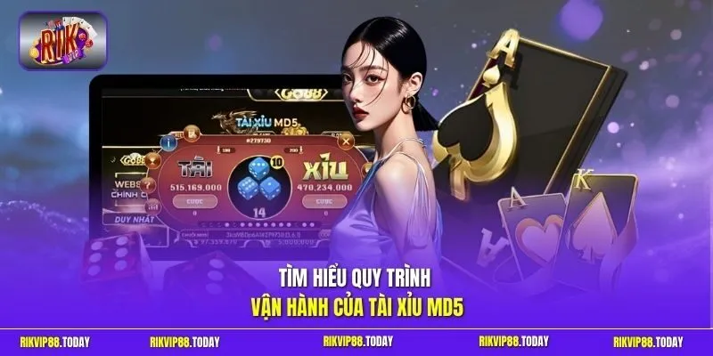 Tài Xỉu MD5 | Xanh Chín Tuyệt Đối Thưởng Khủng Cực Đỉnh 2 Sunwin Tìm hiểu quy trình vận hành của tài xỉu MD5