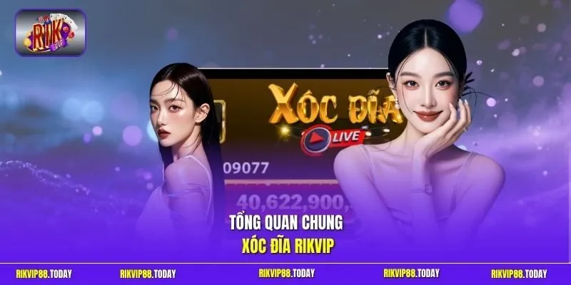 Xóc Đĩa Rikvip | Bí Quyết Theo Cầu Chuẩn Xác Nhận Thưởng X99 2 Sunwin Tổng quan chung xóc đĩa Rikvip